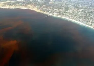 Red Tide.780 303x213.jpg