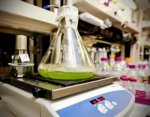 biofuel 303x235.jpg