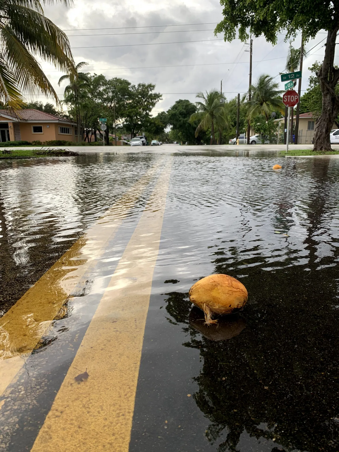 rising seas will tighten vise on miami even for people who are not flooded says study