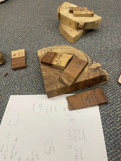 Tree samples in Arabic 478x637.jpeg