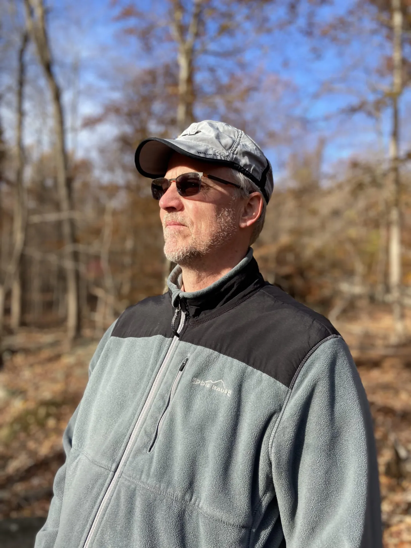 faculty spotlight why trees will always have something teach us