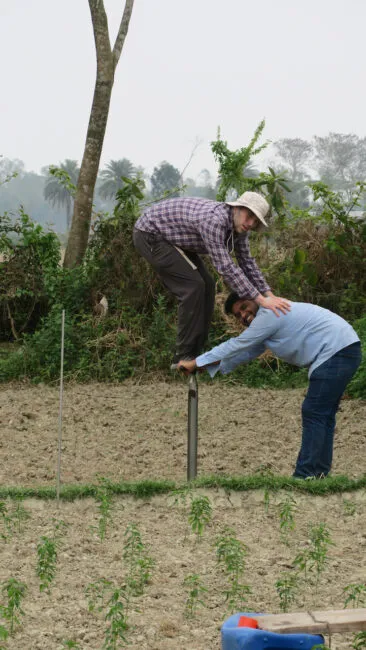 1.7Auger 366x650.jpeg