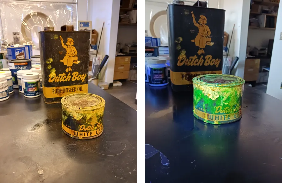 Dutch Boy.png