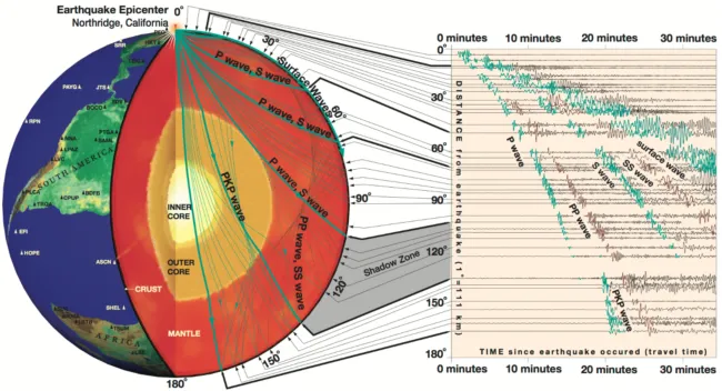 Cutaway diagram of the Earth showing the paths that seismic waves travel through the crust, mantle, and outer and inner core.