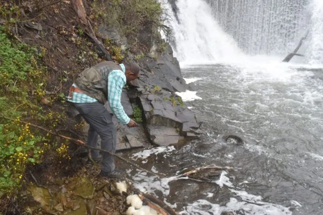 Man examining bedrock outcrop at base of waterfall.