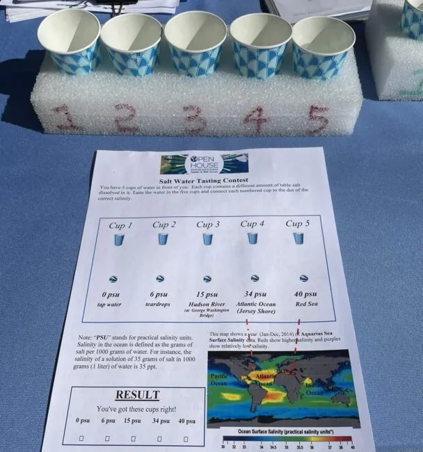 Visitors sampled cups of water with different amounts of salt dissolved in them and had to guess the relative PSU, or salinity, of each. 