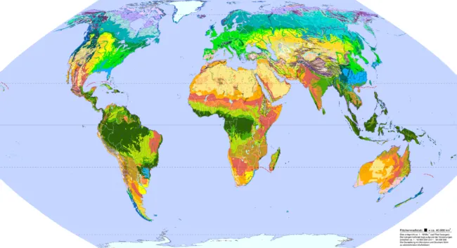 Map of global with vegetation zones