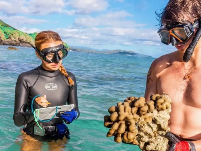 Coral tagging and replanting in Hawai'i. Courtesy: Maria Lujan, Columbia Climate School