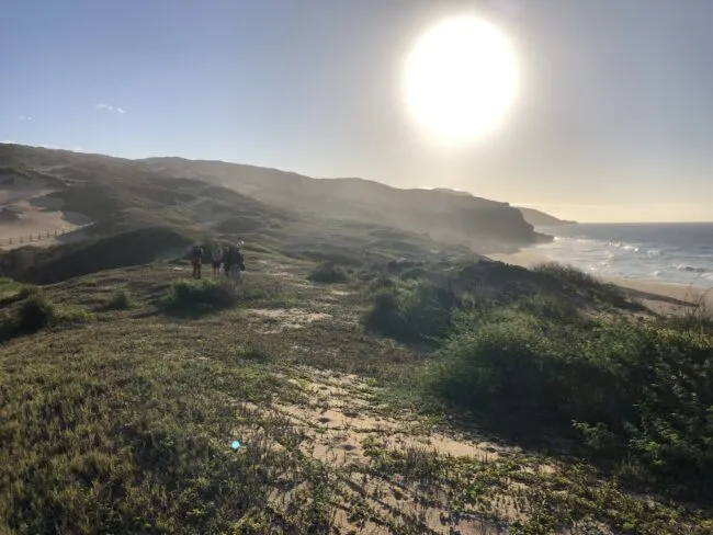 Exploring modern and paleo dunes, Molokai, Hawaii, June 2023. Credit: Jacky Austermann, Lamont-Doherty Earth Observatory