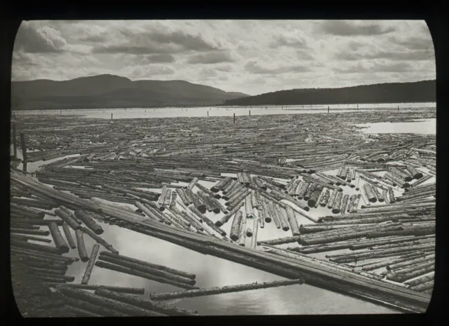 A black and white image of hundreds of logs floating in a body of water