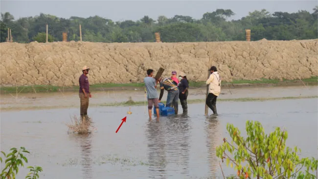 Team carrying equipment to flooded field