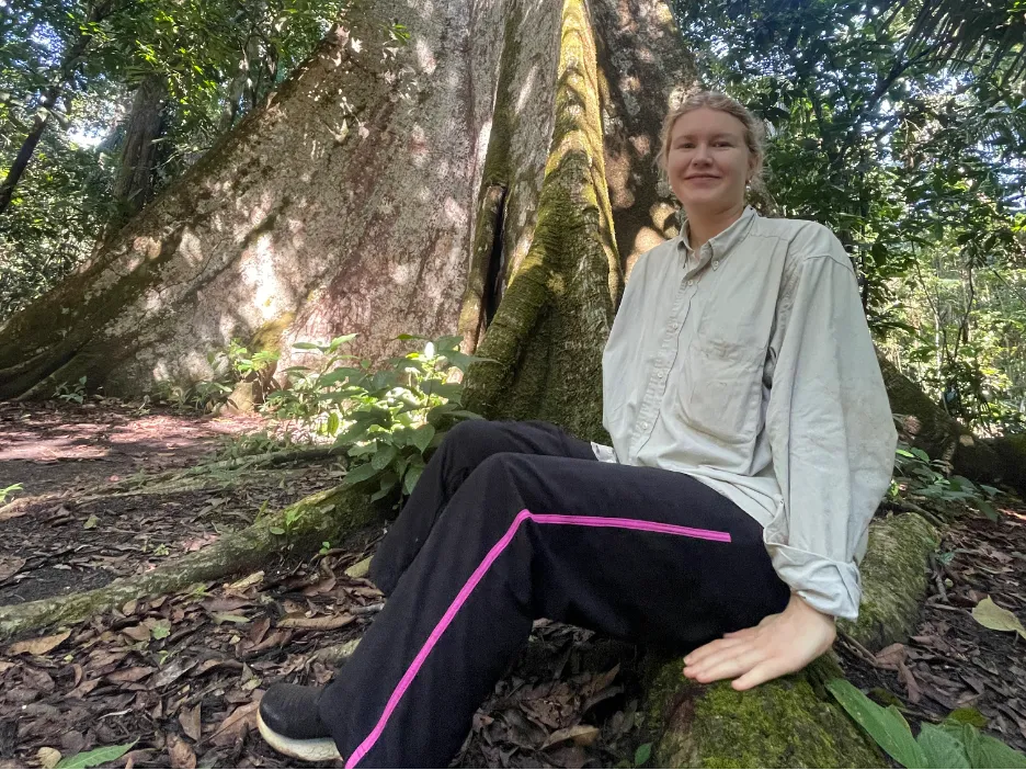 Savannah Cooley ceiba pentandra 2.png
