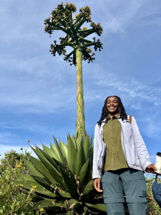 Century Plant and Amara Leazer in San Diego. (Ryann Busillo, Climate School &amp; GSAPP)