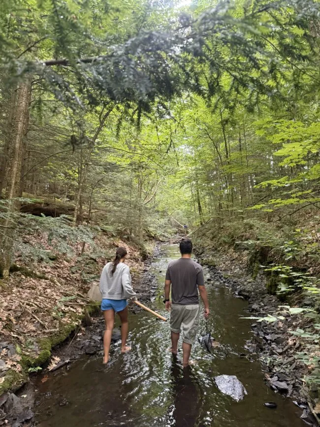 Climate School in Green Mountains students studying water quality. (Laurel Zaima-Sheehy, Climate School)