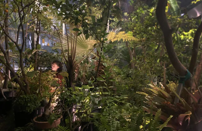 Scene from FEFU &amp; HER FRIENDS at Barnard greenhouse. (Sandra Goldmark, Climate School)
