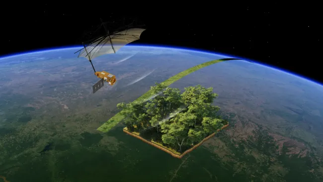 Biomass Satellite seeing wood through trees 650x366.png