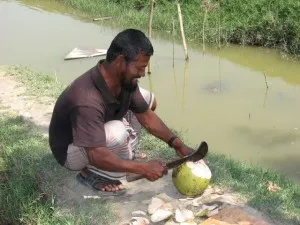greencoconut 300x225.jpg