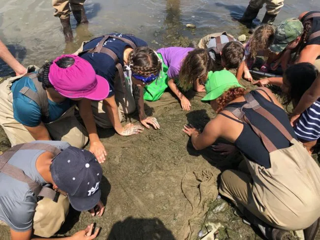 Educators and participants at World Fish Migration Day