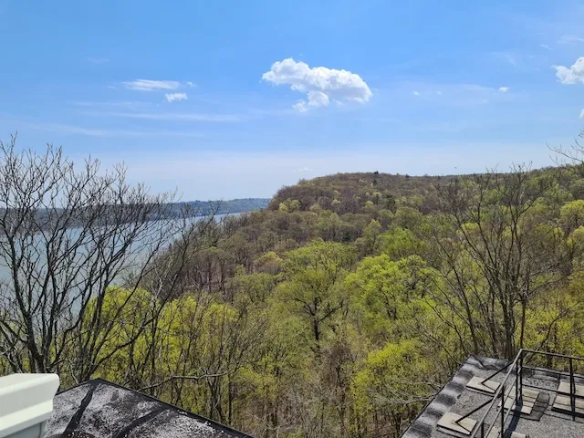 View of a wooded hillside beside a river under a blue sky with clouds
