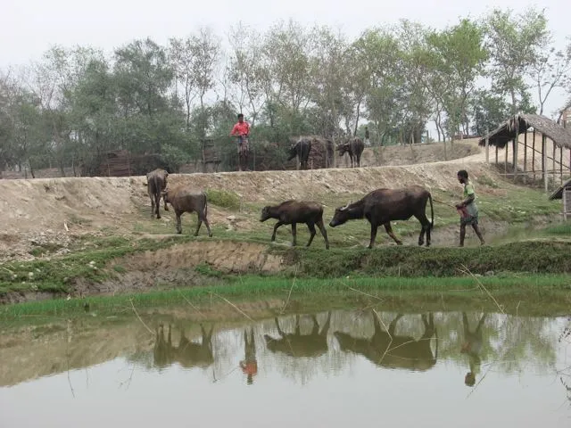 finishing up in khulna