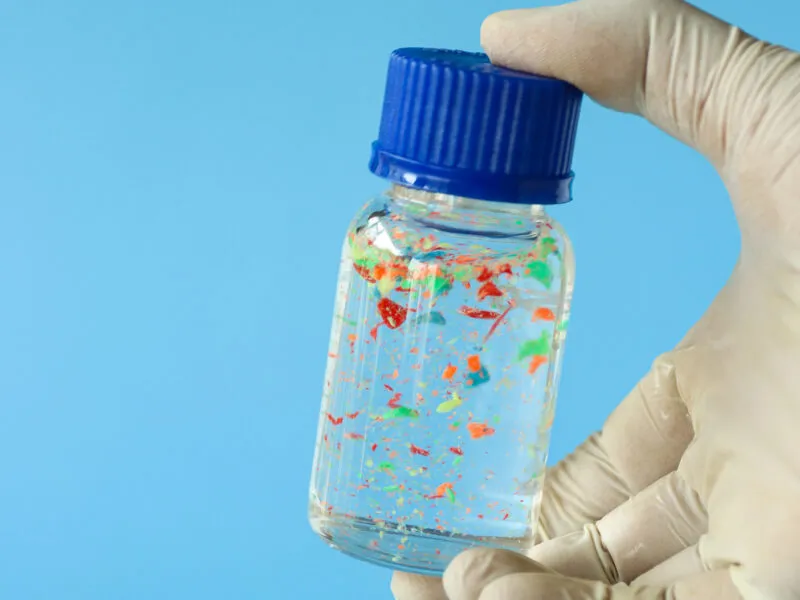 Microplastics In A Test Tube 1 800x600.jpeg