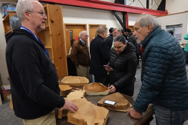Visitors gather around an exhibit of large polished wood slabs