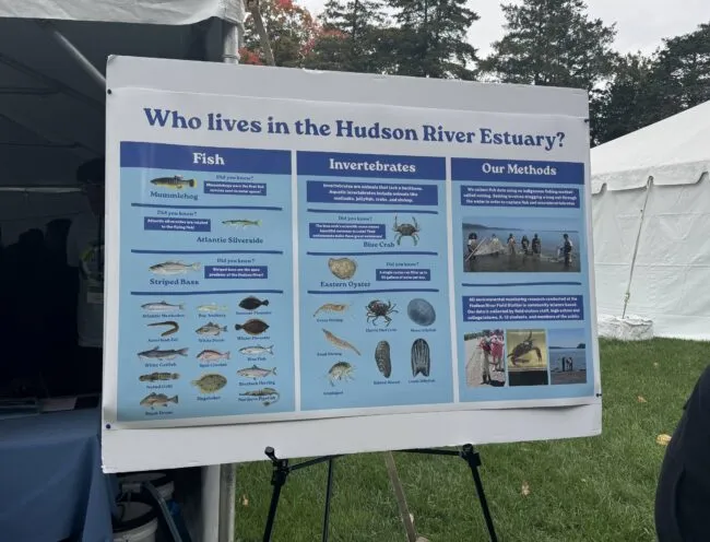 A photo of a sign at Open House detailing what species dwell in the Hudson River