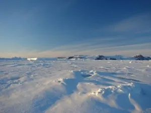 Blocked by sea ice in Prince Gustav Channel. Credit: Bruce Huber