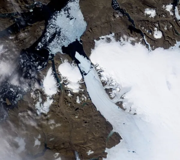 CropNASA474149main petermann tmo 2010217 lrg 600x533.jpg