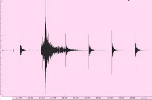 eq shots ex j1851 300x199.jpg