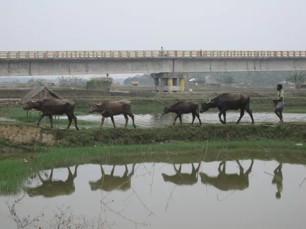 lurking under bangladesh the next great earthquake