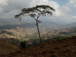 initiatives to help haiti recover