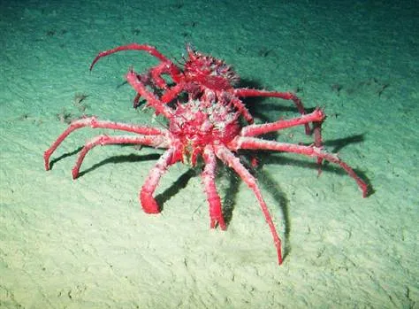 a sea change deep under antarctic waters