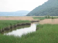 ancient dry spells future risk