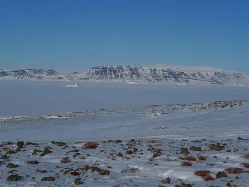 Wolstenholme Fjord adjacent to North Star Bay and north of Thule