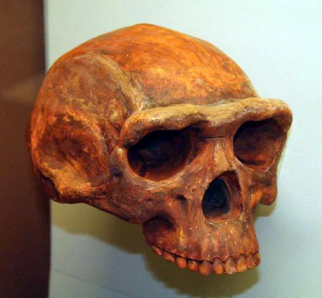 did climate change shape human evolution 2