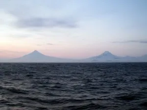 IMG 9781 300x225.jpg