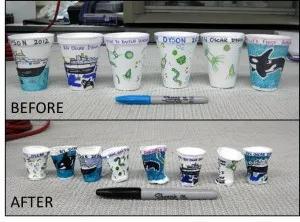 ShrunkenCups1 300x222.jpg