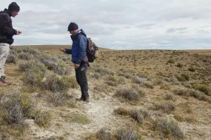 Searching for Lake 