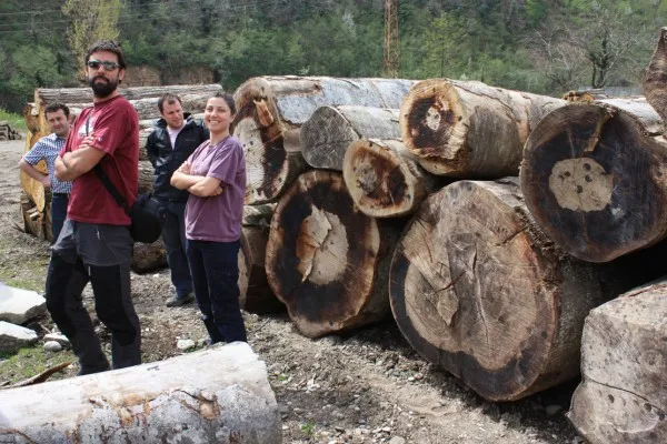 BeechLogsJengisDarioTuncayNesibe 600x400.jpg