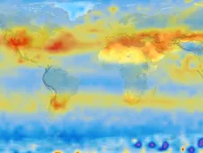 co2 sources sinks.jpg