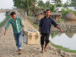 carrying 300x225.jpg