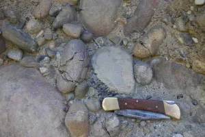 Chert (pictured just above the knife) offers an important clue to what the landscape once looked like.