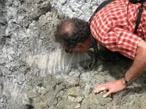 Nano confirms that this rock outcrop contains halite by its salty flavor. Credit: Meg Reitz.