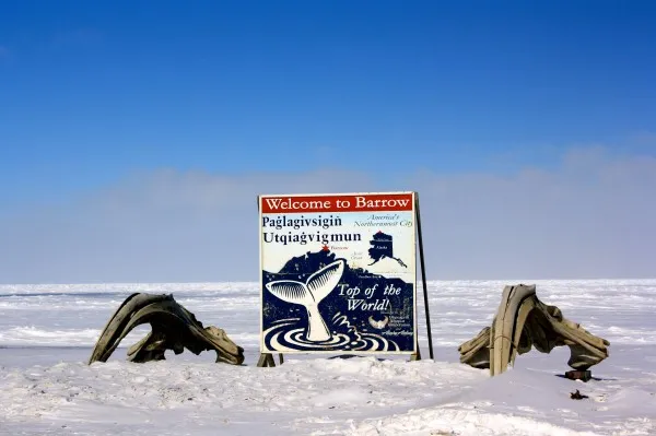 settling in to life in the arctic