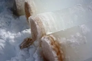 Ice cores: the objects of our affection. The brown areas are the bottom of the cores and indicate the presence of algae in the ice.