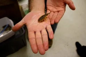 Craig displays his catch.