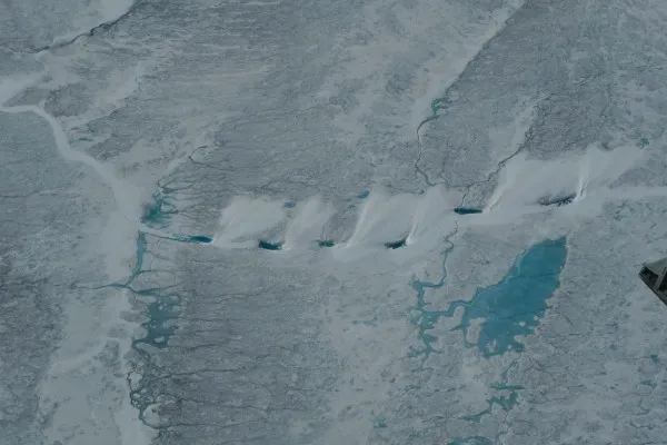 Surface feature on the ice that appears to be a meltwater channel that has been covered over by blown snow. (Photo M. Turrin)