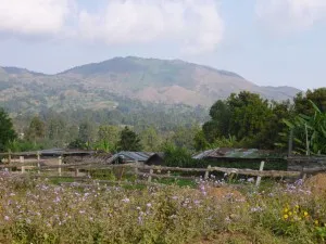 P1040254