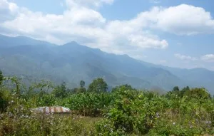 P1040454